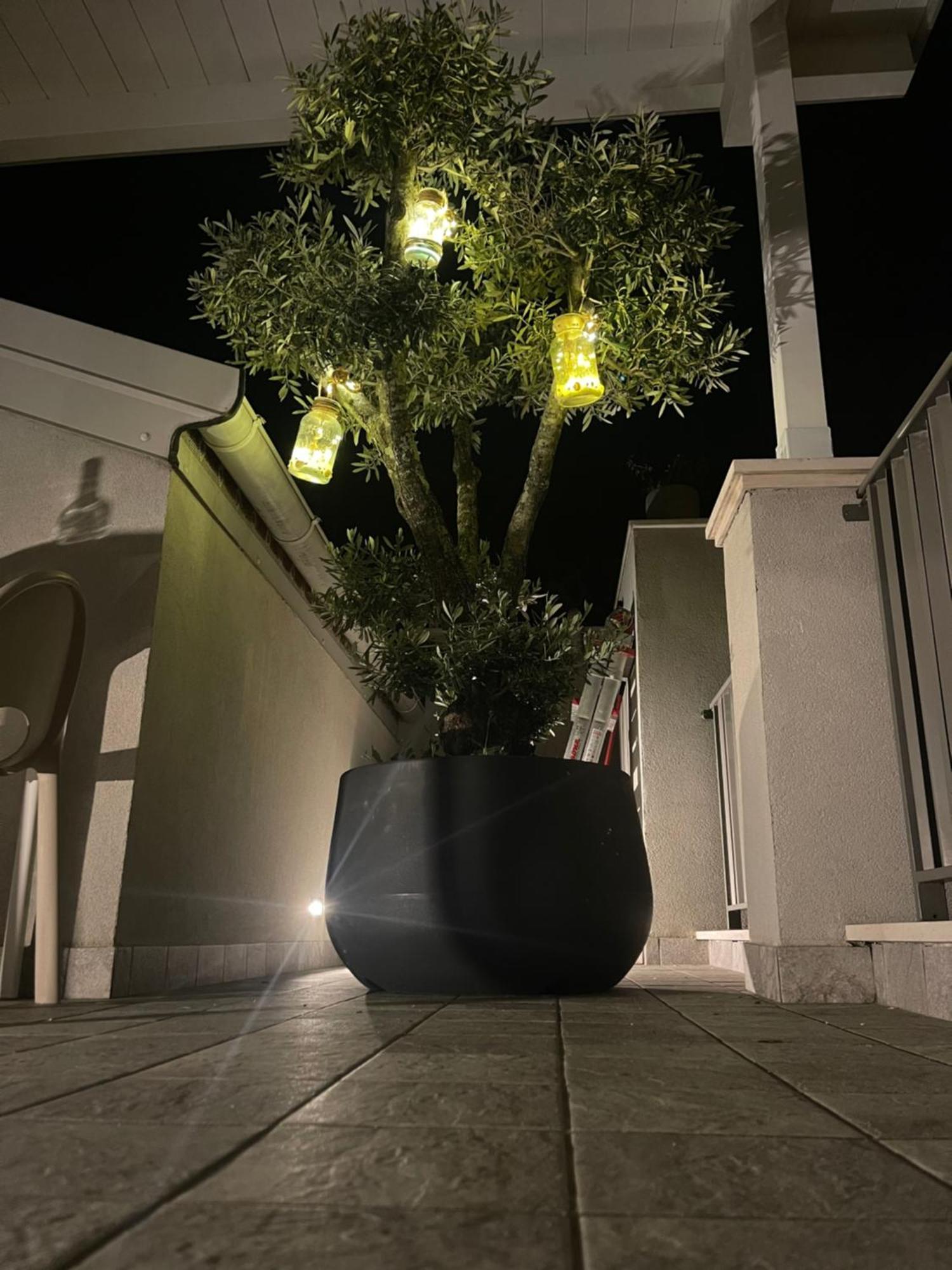 La Casa Di Filo Boutique Bed & Breakfast Roseto Degli Abruzzi Exterior photo